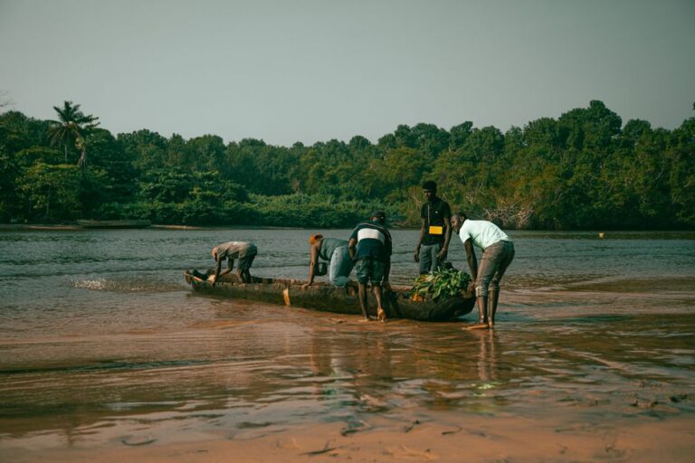 Como a biodiversidade influencia a medicina moderna: explorando suas conexões e benefícios