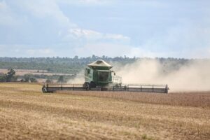 Como os avanços da biotecnologia estão revolucionando a agricultura sustentável