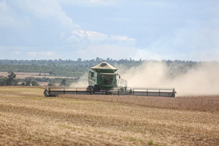 Como os avanços da biotecnologia estão revolucionando a agricultura sustentável