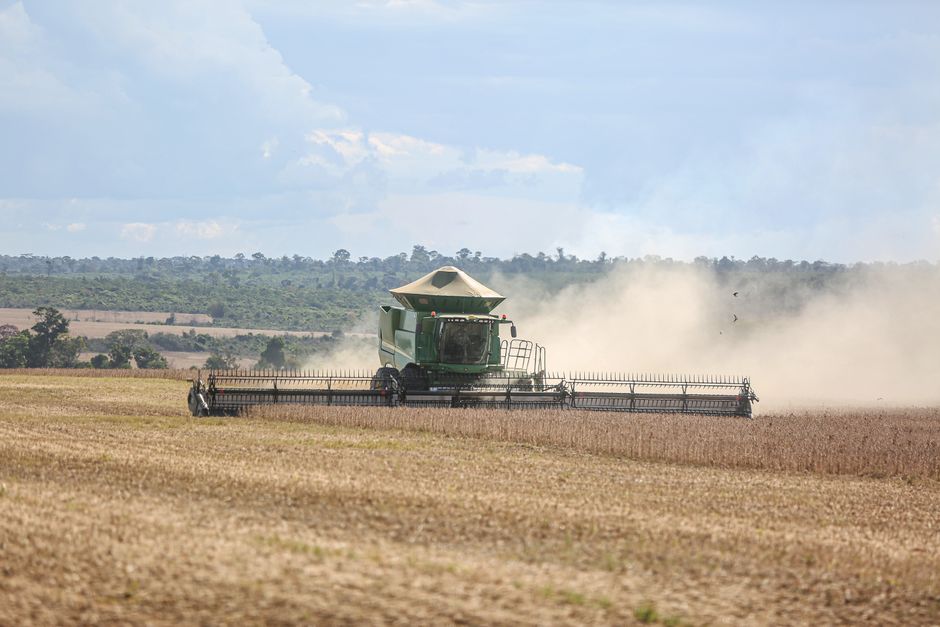 Como os avanços da biotecnologia estão revolucionando a agricultura sustentável