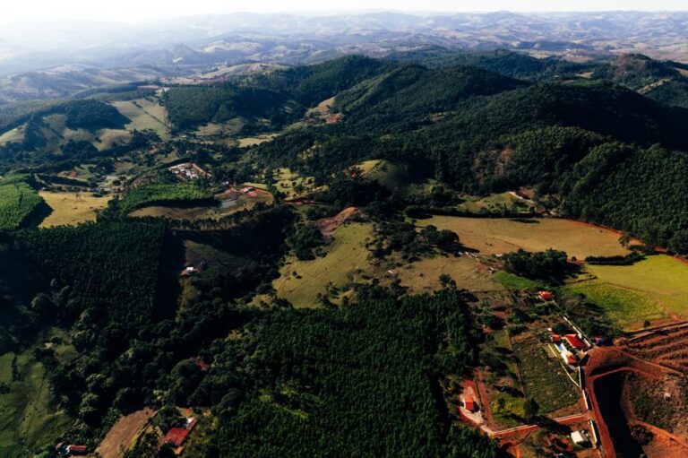 Como preservar ecossistemas frágeis: estratégias eficazes para a conservação da biodiversidade